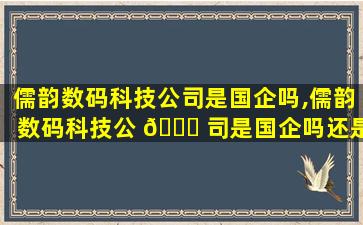儒韵数码科技公司是国企吗,儒韵数码科技公 🐘 司是国企吗还是私企